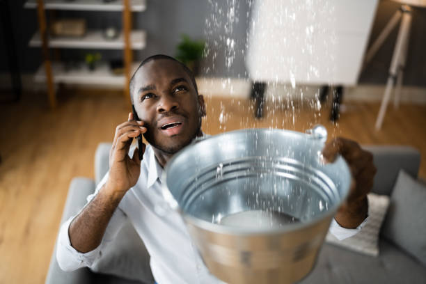 Best Residential water damage restoration  in Ambridge, PA
