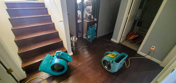 Best Emergency water damage restoration  in Ambridge, PA