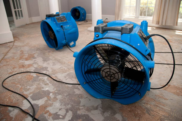 Best 24/7 water damage repair  in Ambridge, PA