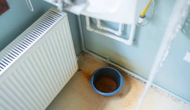 Best Basement water damage restoration  in Ambridge, PA