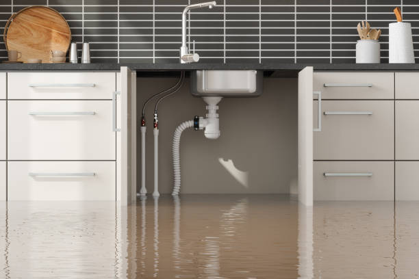 Best Water damage restoration services  in Ambridge, PA