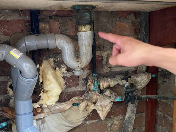  Ambridge, PA Water damage restoration Pros