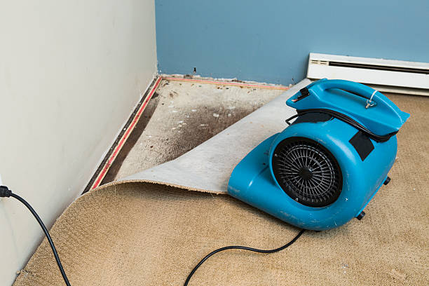 Best Flood restoration services  in Ambridge, PA