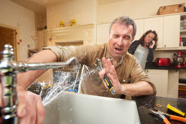 Best Water damage contractors near me  in Ambridge, PA